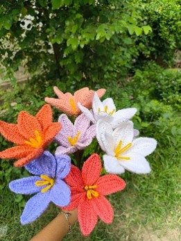 Lilies